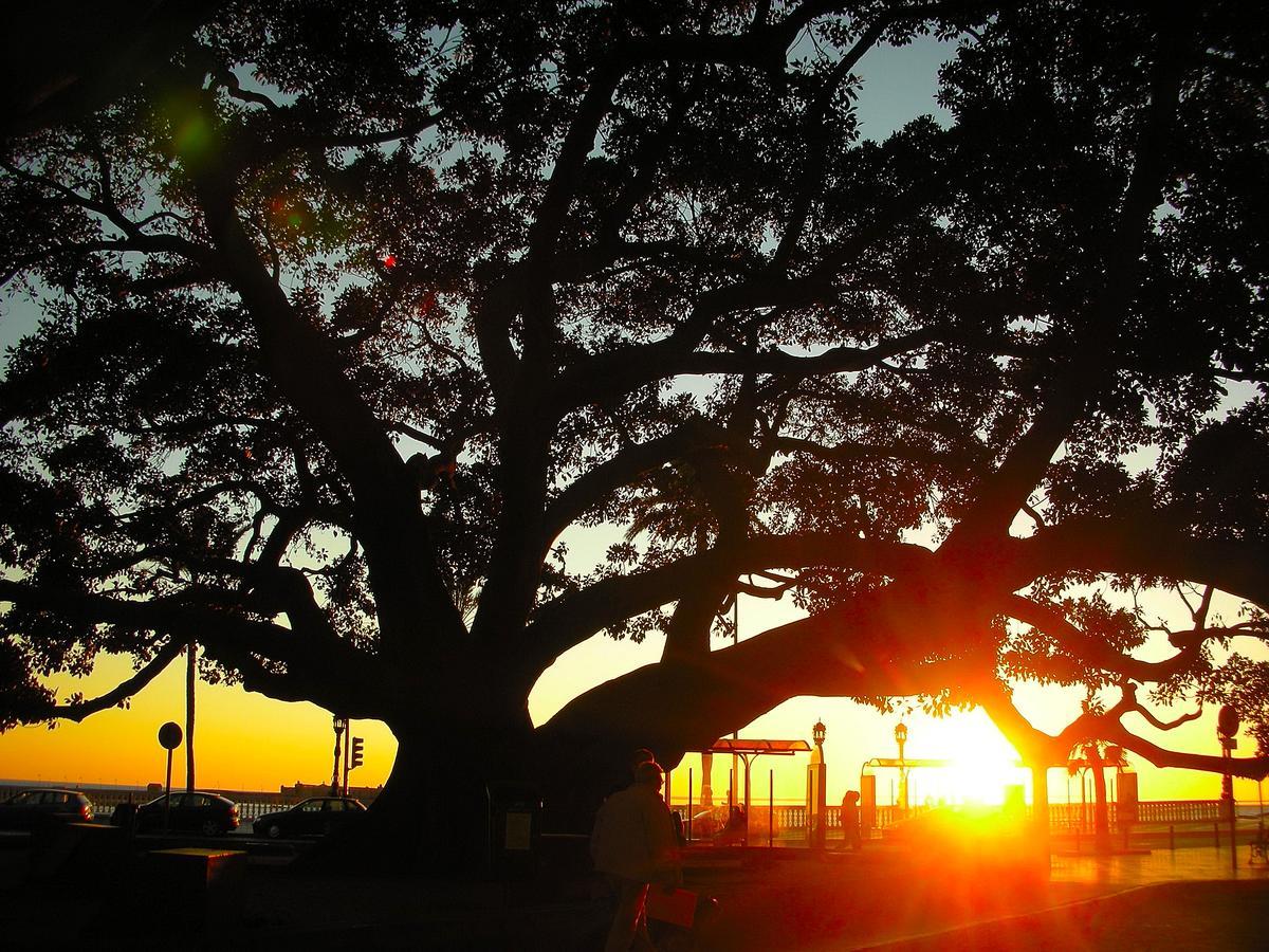 Apartamentos La Caleta De กาดิซ ภายนอก รูปภาพ